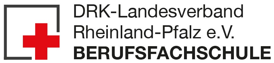 bfs-rettungsdienst.de